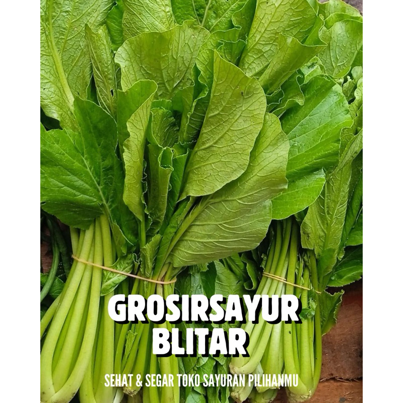 

sayur sawi hijau 1 ikat