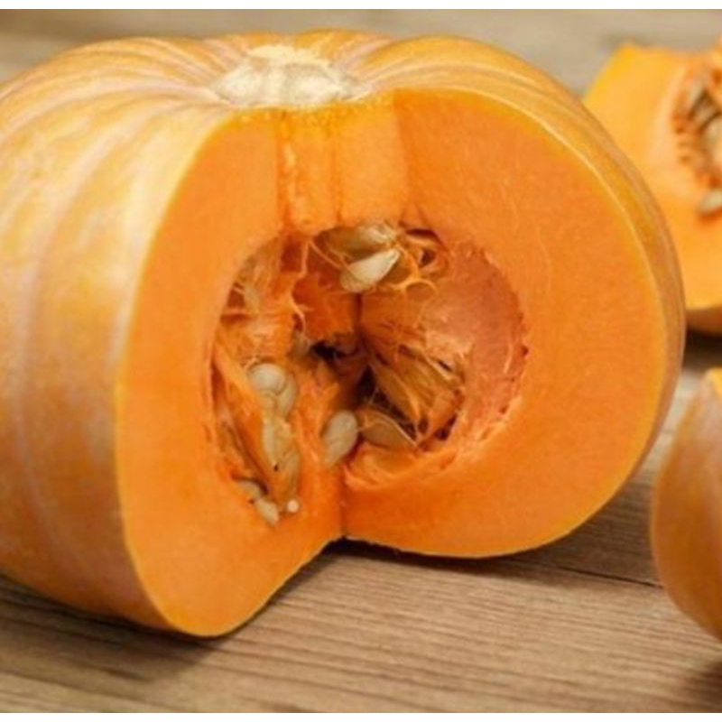 

10 Biji Benih Unggul Labu Waluh Kuning Pulen