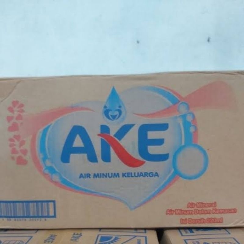 

AKE.AIRMINERAL.1DUS.220ML