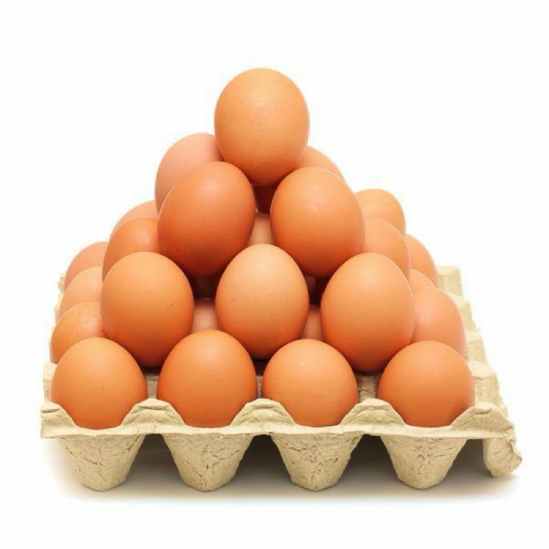 

Telur Ayam Negeri Fresh