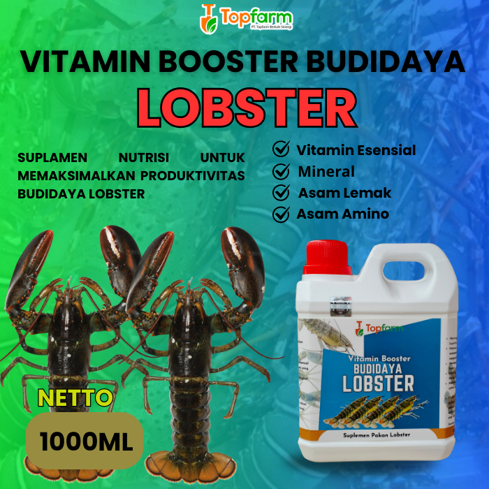 Vitamin Ternak Lobster 1LITER/ Vitamin Budidaya Ternak Lobster/ Vitamin Lobster Cepat Besar/ Vitamin