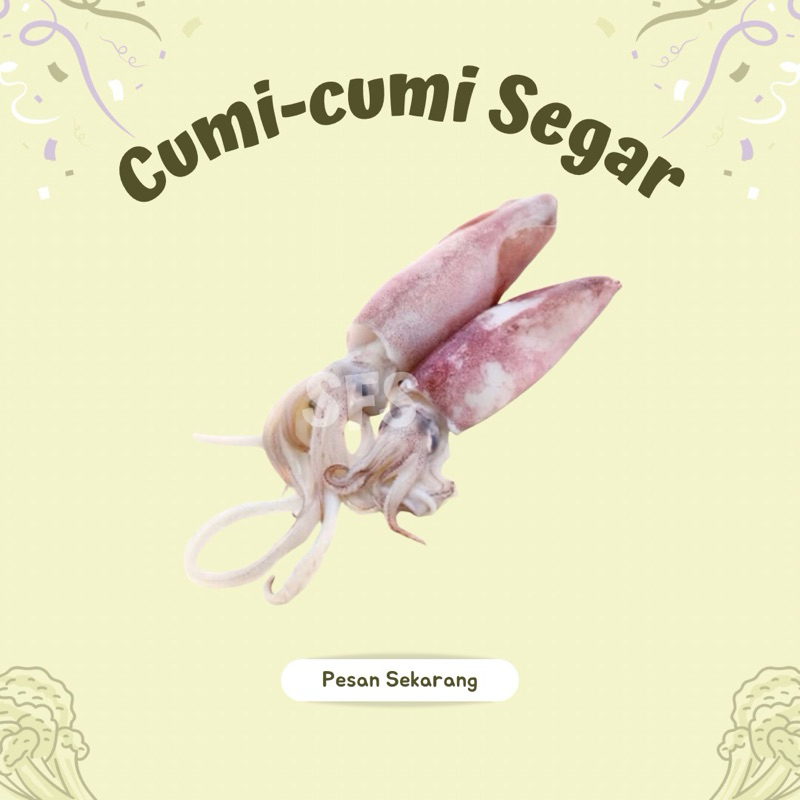 

CUMI CUMI SEGAR 250 GR DAN 500 GR (READY PAGI JAM 7-9) - SAYUR FRESH SOLO