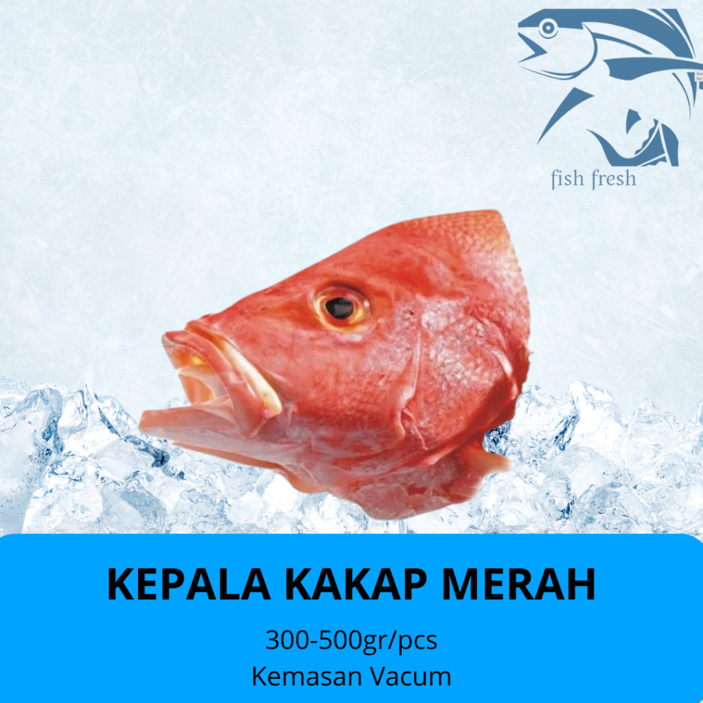 

KEPALA KAKAP MERAH SEGAR FROZEN