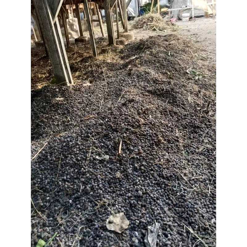 Pupuk Kandang Kambing 1 Kg - Kohe Kambing Fermentasi