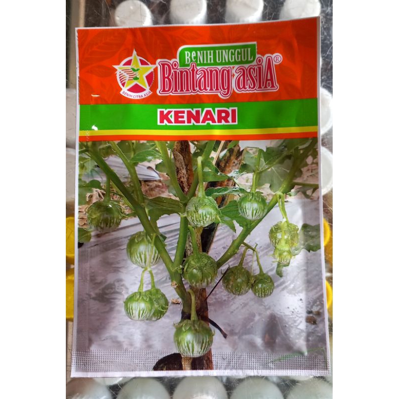 Benih Bibit Terong Lalap Kenari Kemasan 10 Gram