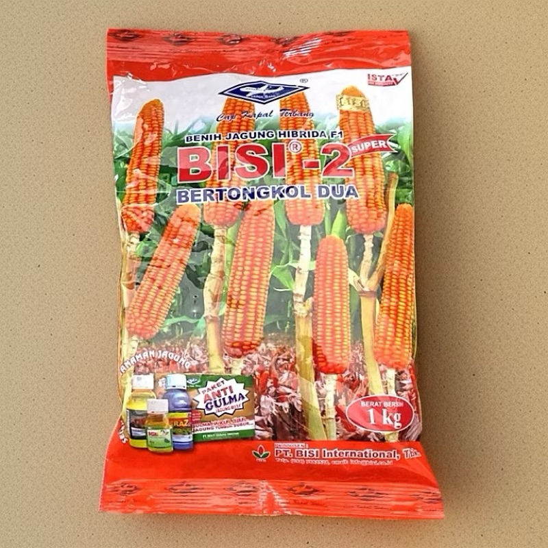 Benih Jagung Pipil BISI 2 tongkol