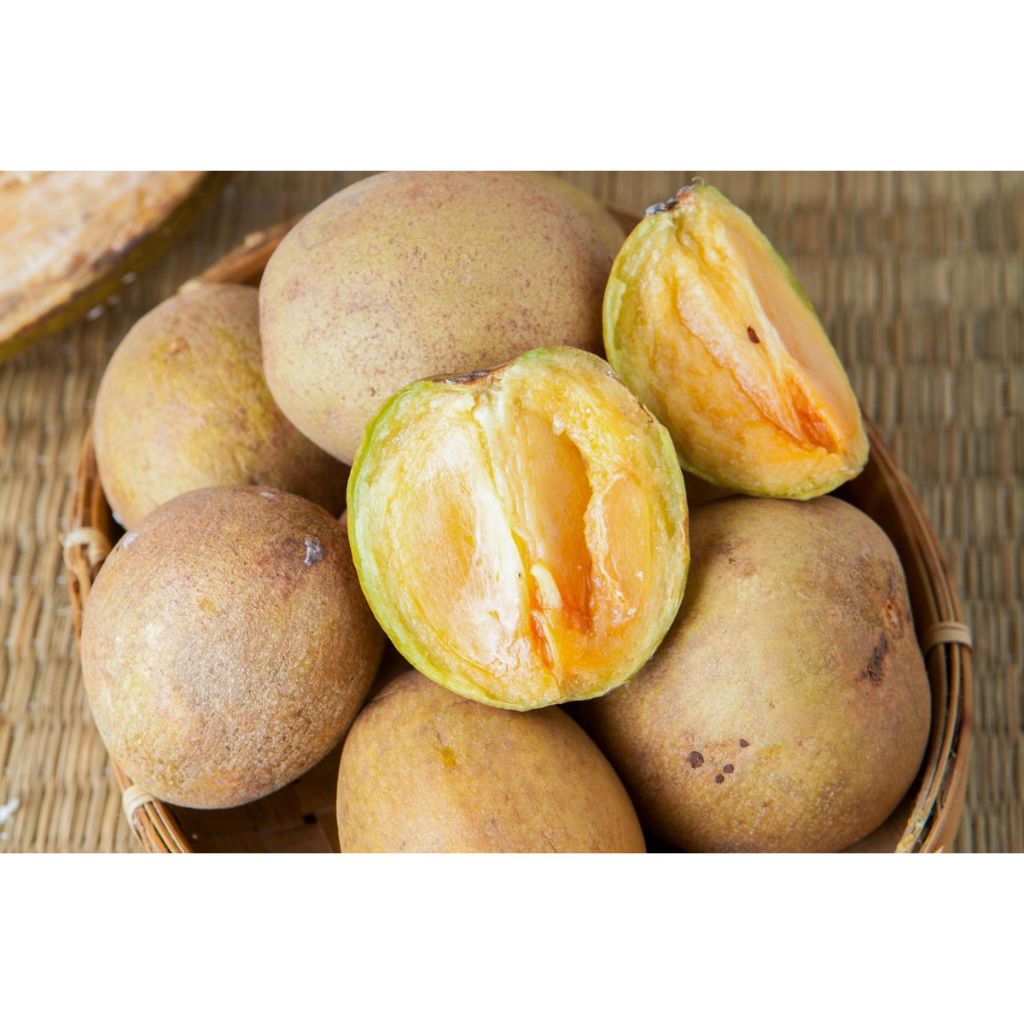

Buah Sawo 1 Kg Fresh