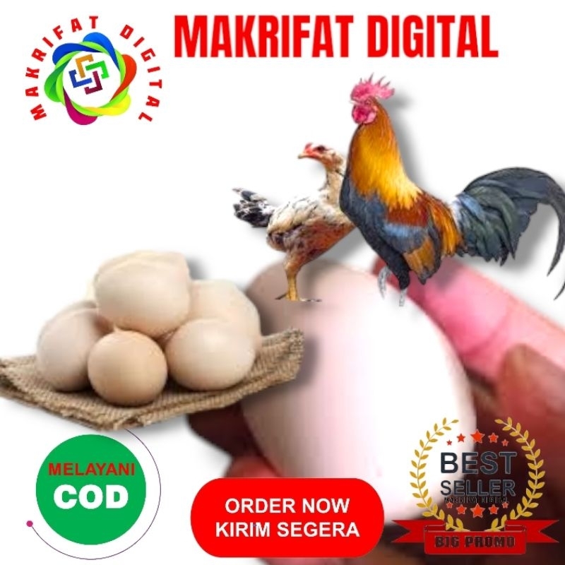 

MAKRIFATDIGITAL Paket 1 Pcs TELUR AYAM FERTIL KUB2 Jalur PEDAGING Kwalitas Jaminan Menetas Karena Langsung dari Peternak Profesional