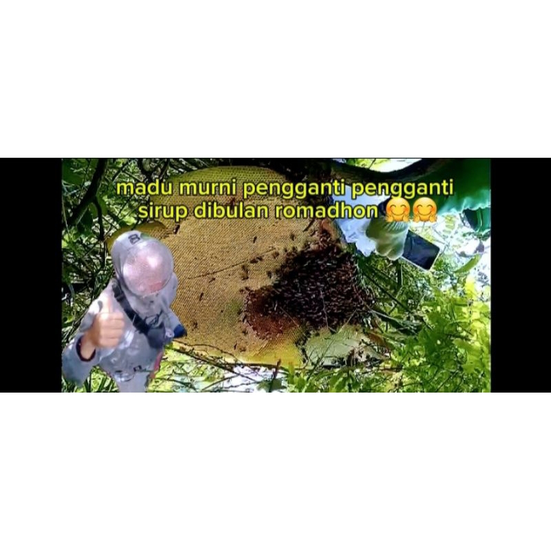 

madu pahit kemasan 500ml