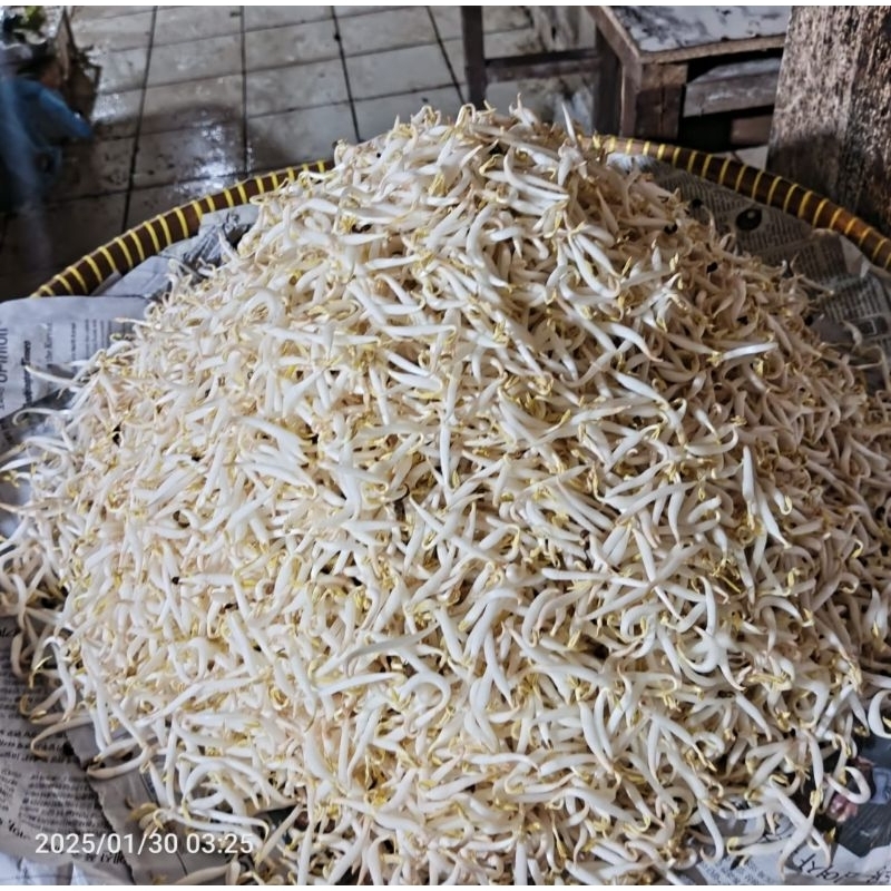 

Toge sayur/Bangkok 500grm