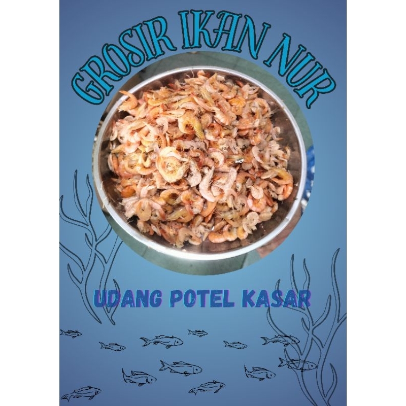 

Udang Potel Kasar Enak dan Tidak Terlalu Asin