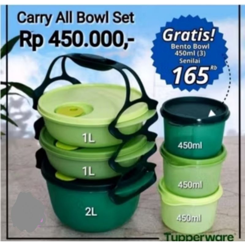 Carry All Bowl set tupperware