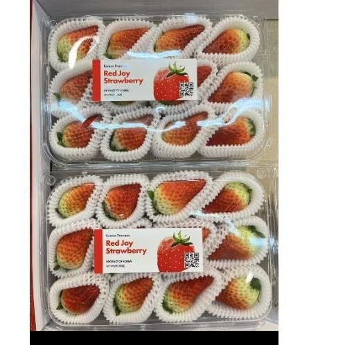

Buah strawberry Korea jumbo manis red Joy super premium gift pack