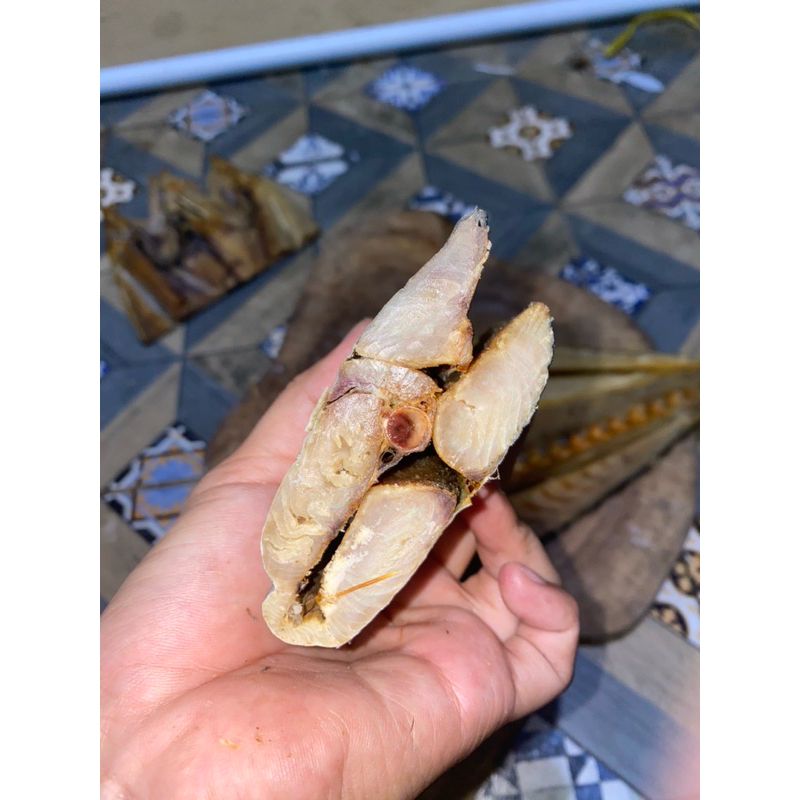 

Tenggiri Full Daging 250gr