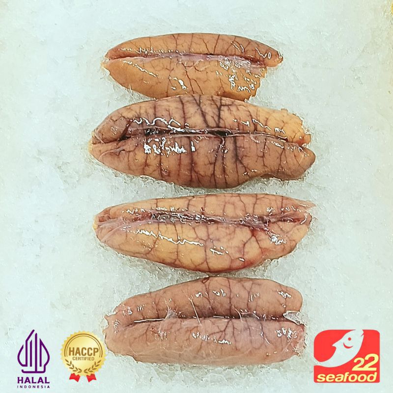 Telur Ikan Gabus Laut 500 Gram / Telur Ikan Cobia Limited / Seafood 22