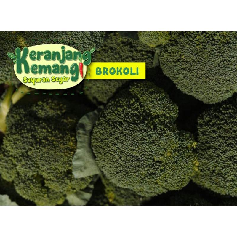 

Brokoli Segar