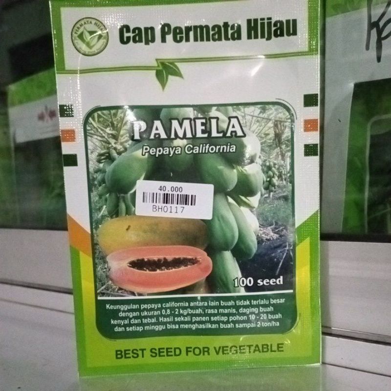 

PAMELA Pepaya California