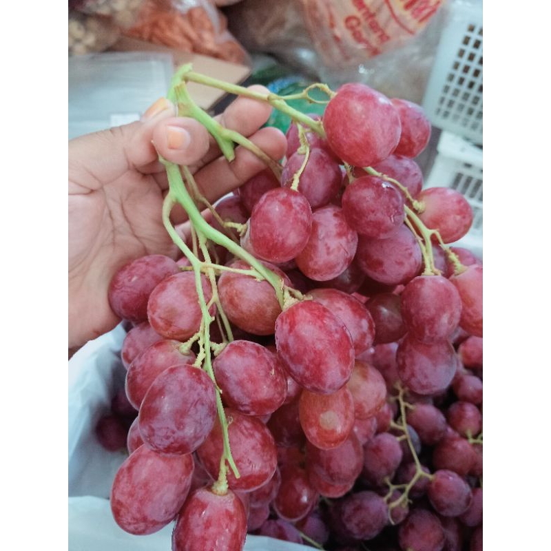 

Buah Anggur /only jatim