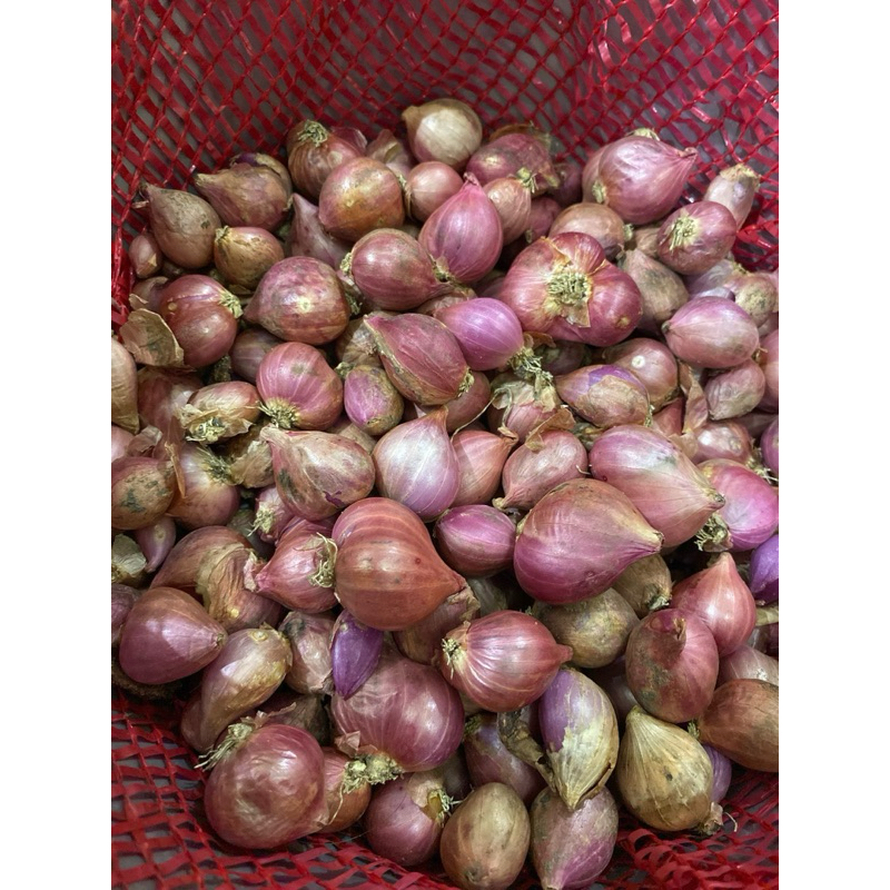 

Bawang merah Tanggung 1 Kg