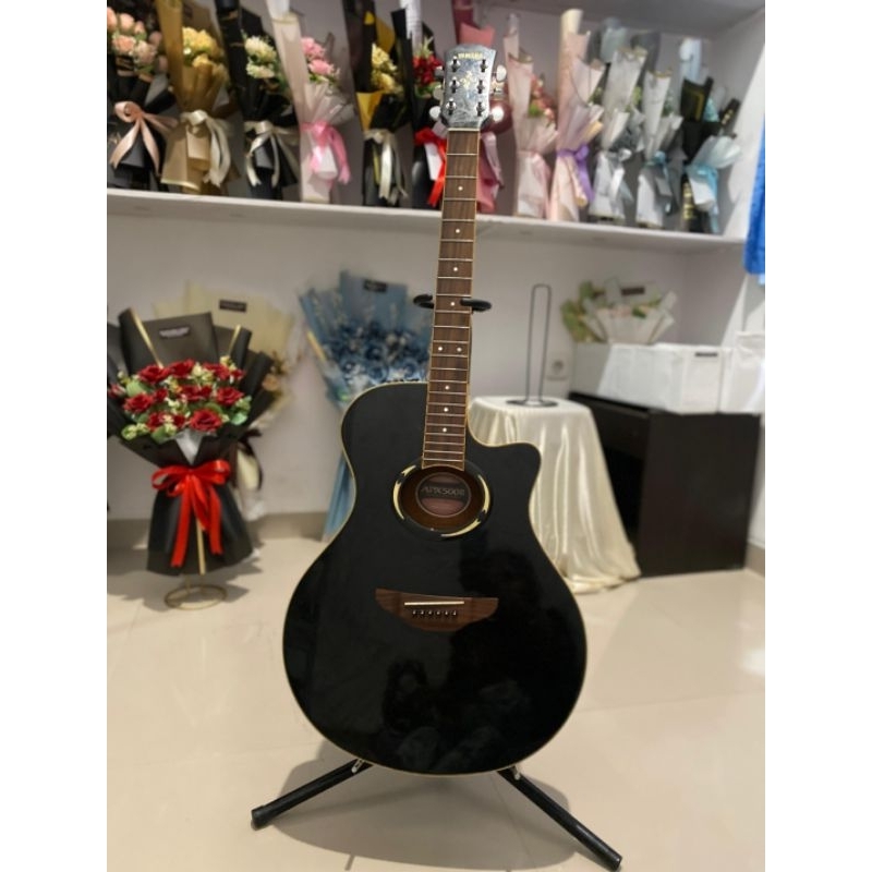 Yamaha APX 500II Original