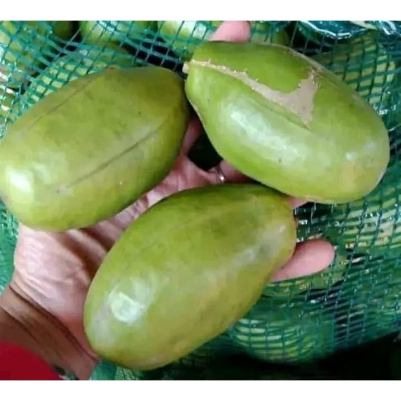 

promo Kedondong 2kg manis fesh