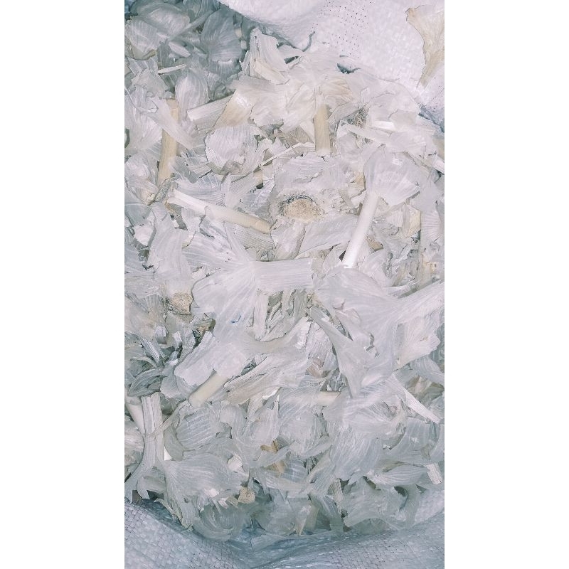 

KULIT bawang putih per 500 gram