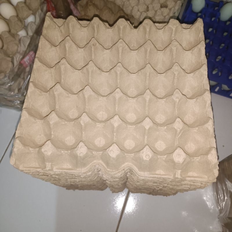 Tray telur / Egg Tray karton 95 % (sekali pakai)