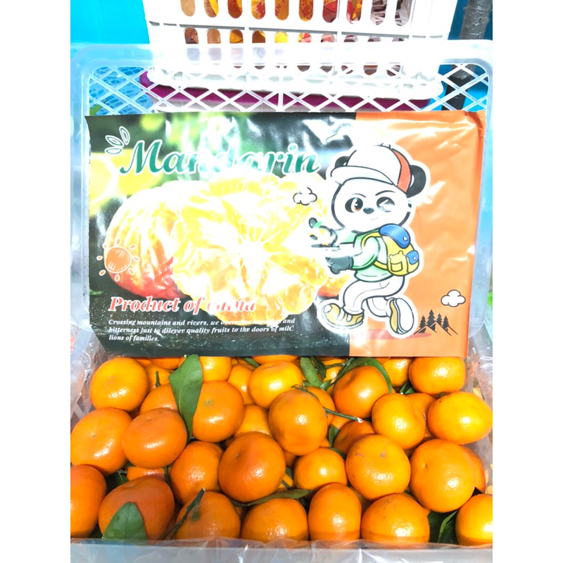 

Jeruk Shatang Michi Daun /kg