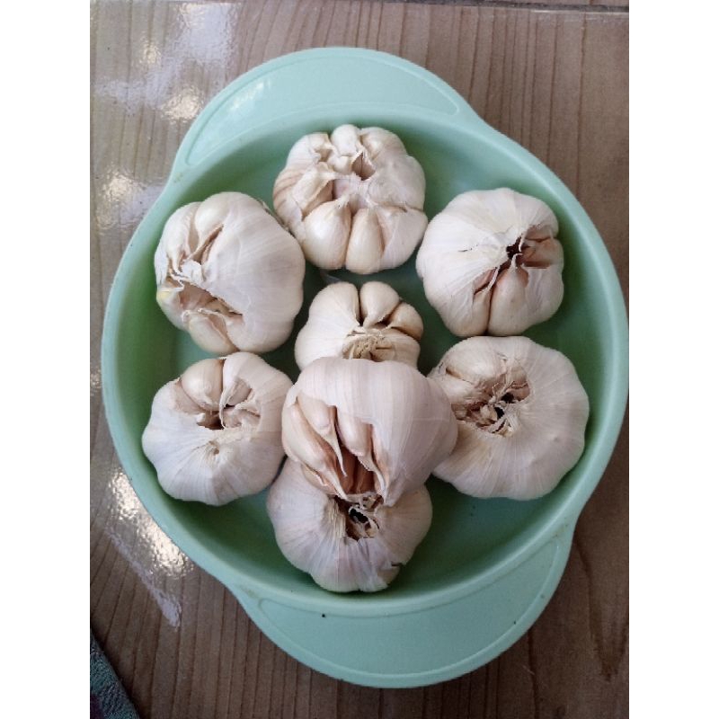 

bawang putih bersih