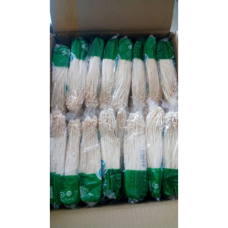 

JAMUR ENOKI PAKET ISI 50PCS