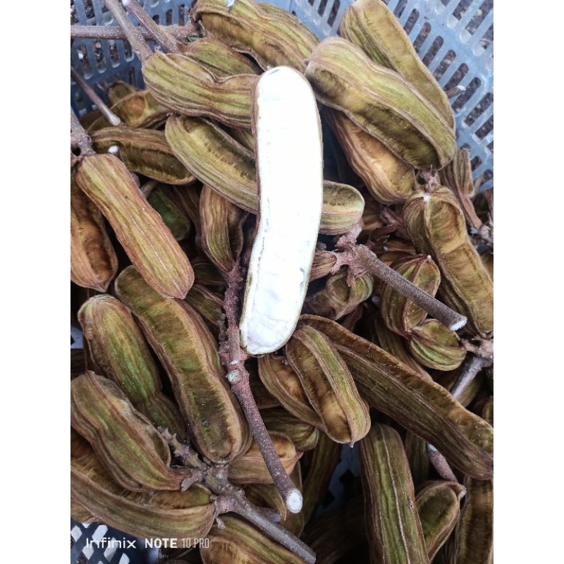 

buah salju bedugul bali