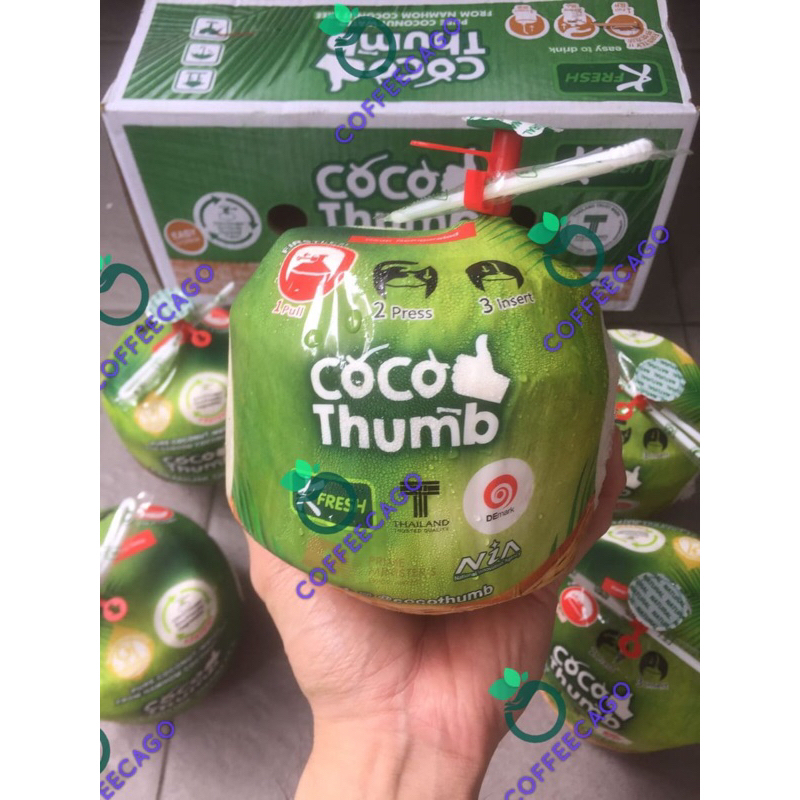 

Kelapa Muda Cocothumb Thailand Fresh Import