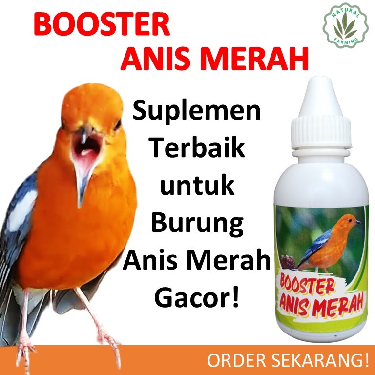Vitamin Burung Anis Merah Cepat GAcor 60 ml / Asam Amino untuk Burung Anis Merah
