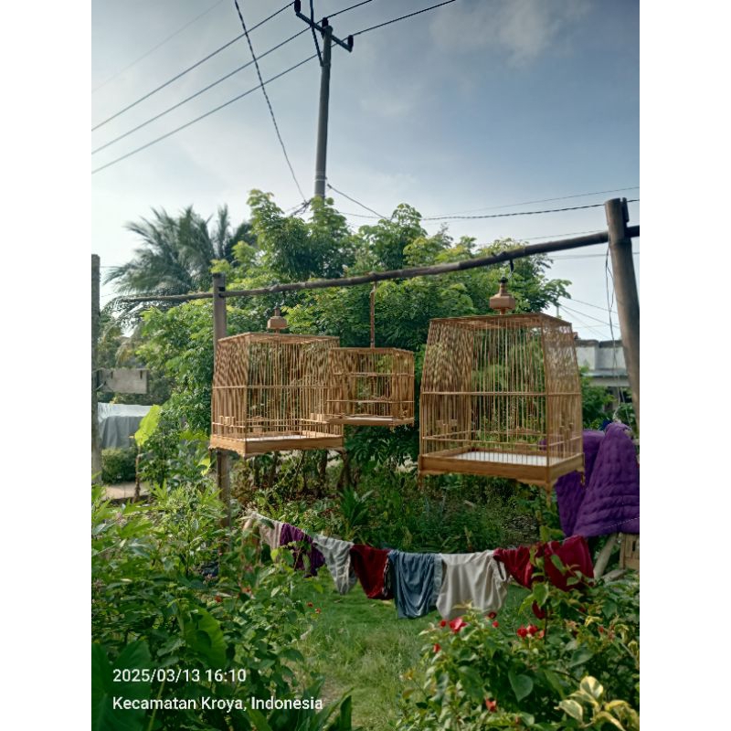 sangkar cungkok bambu