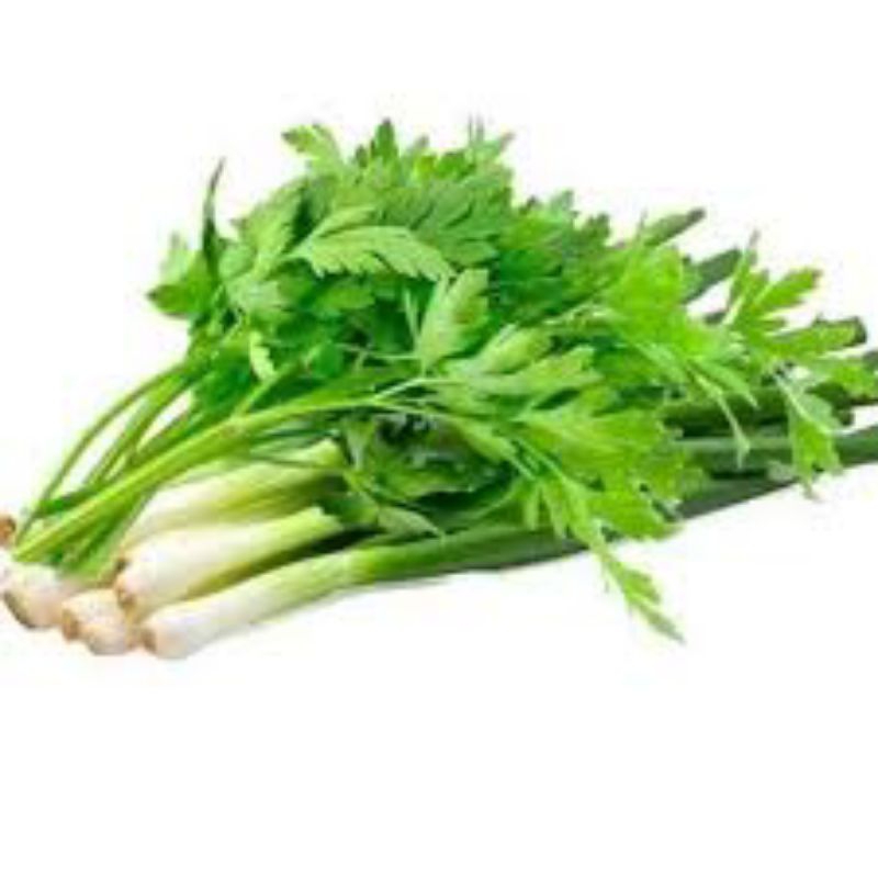 

Daun Bawang + Saladri 100g
