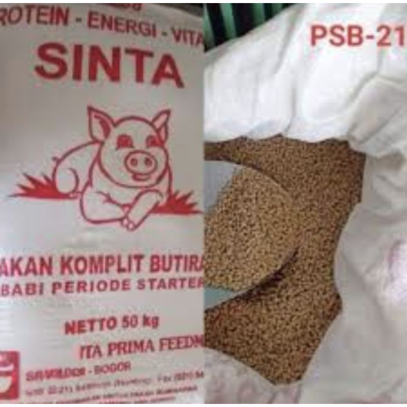 PSB-21 PELLET BUTIRAN PAKAN BABI STARTER PAKAN TERNAK