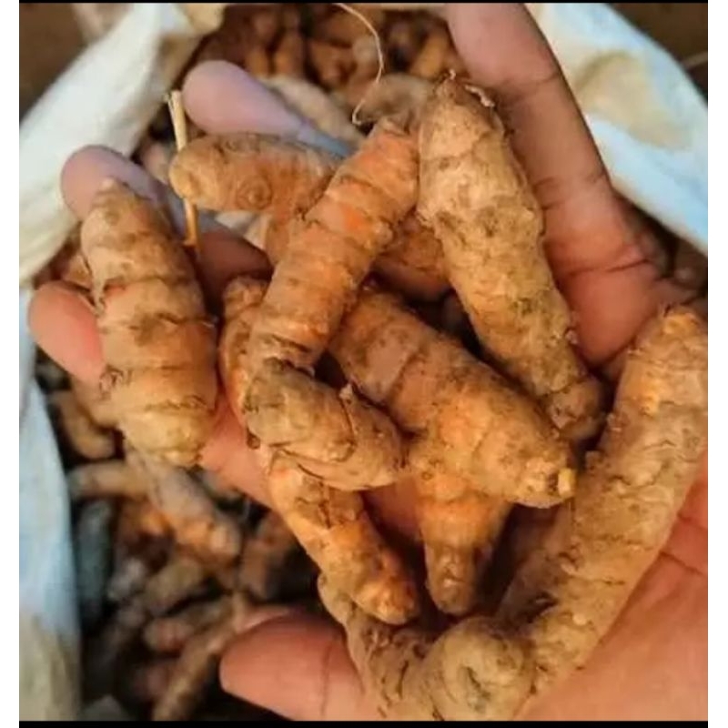 

KUNYIT BUMBU MASAK 1KG
