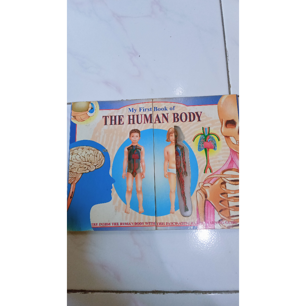 My First Book of The Human Body