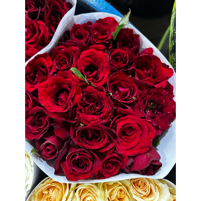 Bunga Mawar Holland - Fresh 20 Tangkai - Bunga Potong Segar Jakarta