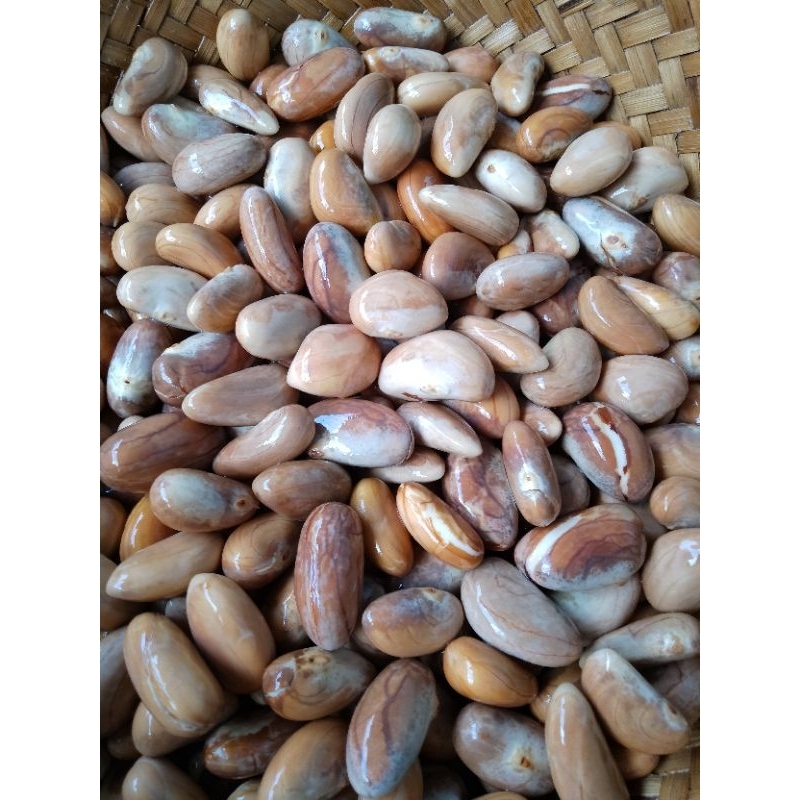 

BIJI NANGKA SEGAR PAKET 5 KG