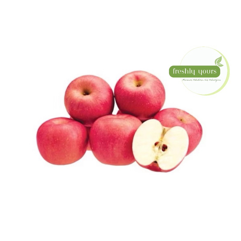 

APEL FUJI FRESH PREMIUM