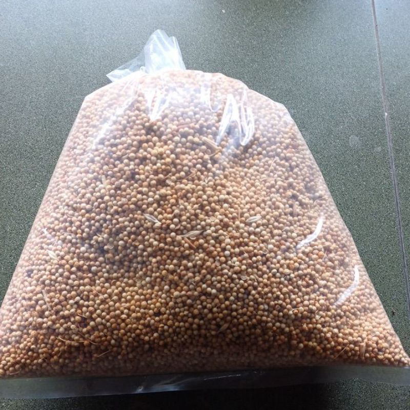 

Ketumbar Bulat 1 Kg
