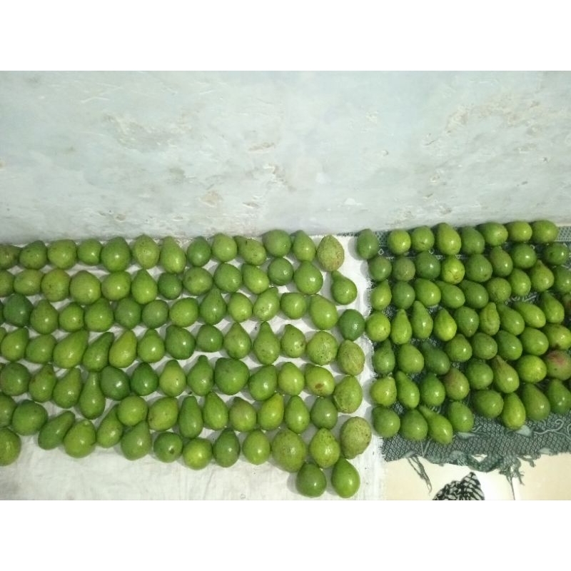 

ALPUKAT MENTEGA LOKAL/MENTAH/1KG ISI 3-4