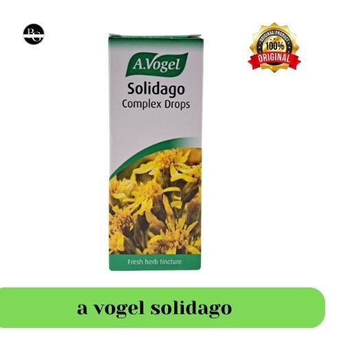 A vogel avogel Solidago complexs drop 50 ml Meluruhkan batu urin