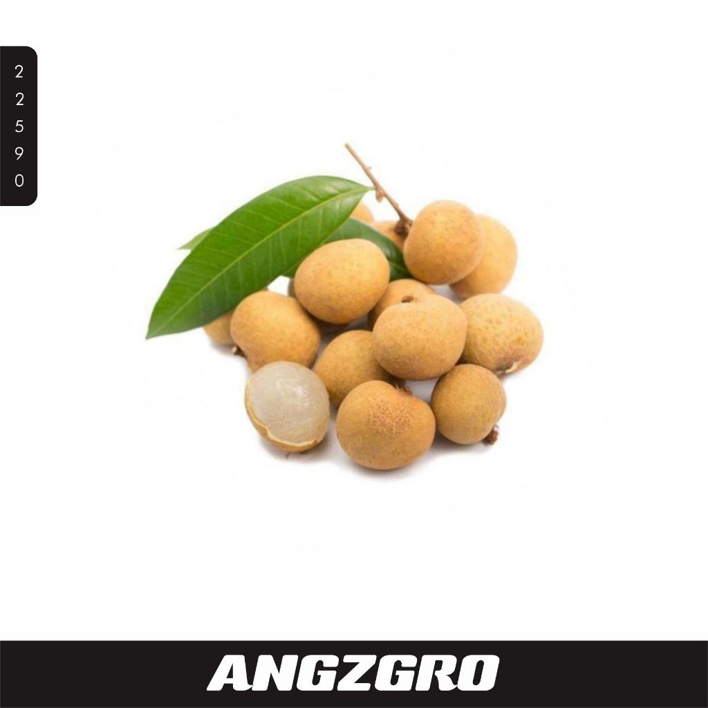

Kelengkeng 250 GR PER PACK