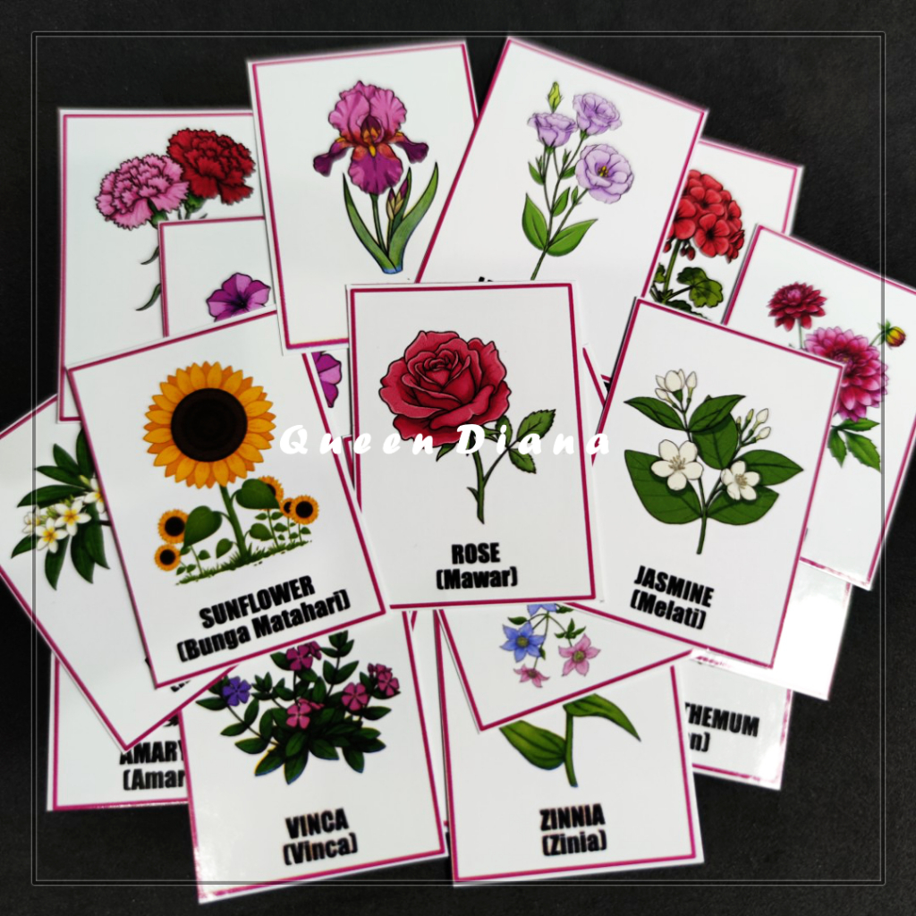 

stiker bunga bahasa inggris isi 25 pcs untuk belajar dan hiasan full color