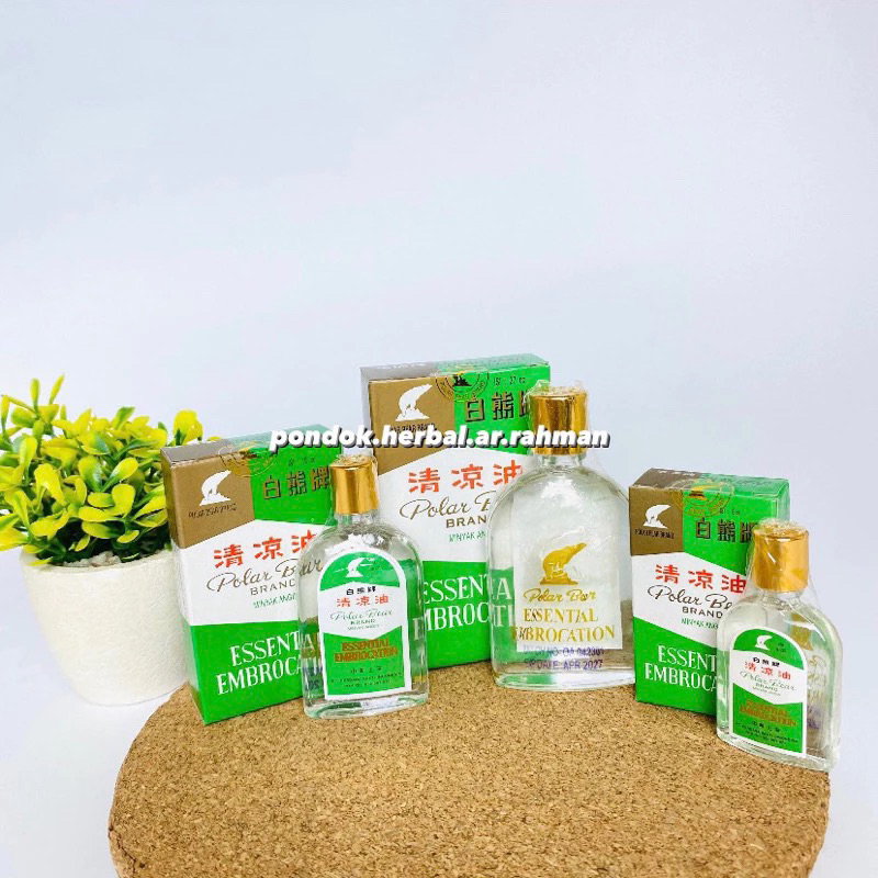 MINYAK ANGIN POLAR BEAR