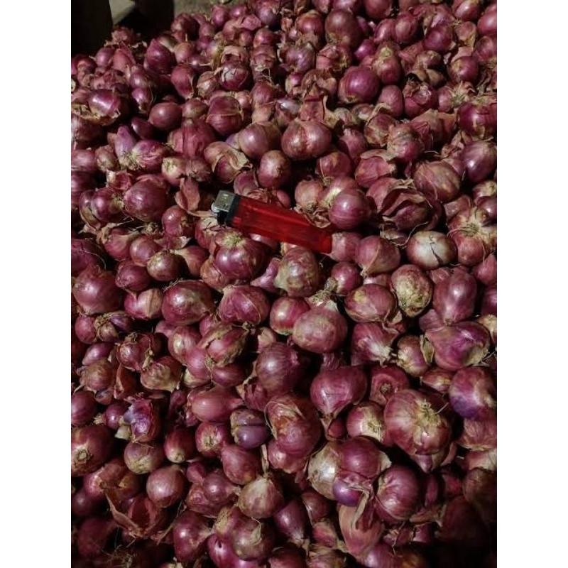 

KEBUN RAYA - Bawang Merah Asli Tawangmangu (1kg)