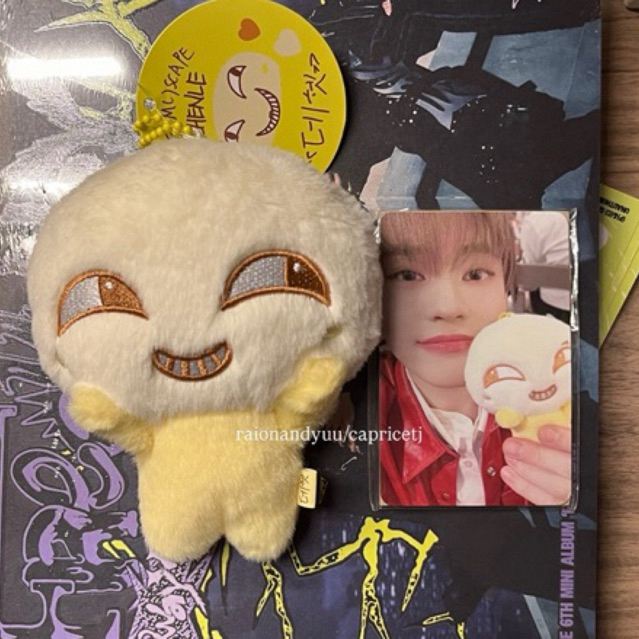NCT Dream Chenle Dehet Magnet Doll + pc