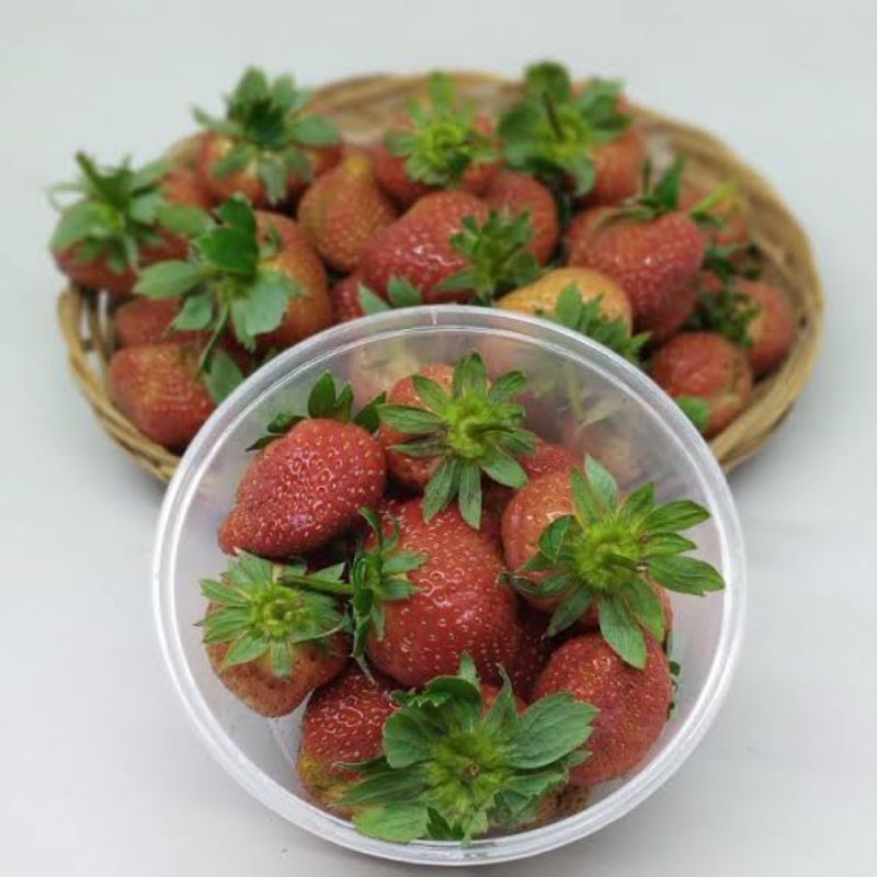 

Strawberry Lokal segar 250 gram